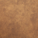 Load image into Gallery viewer, Oakland Leather Armchair , Tan And Black
